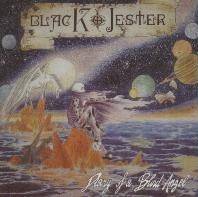 Black Jester : Diary of a Blind Angel